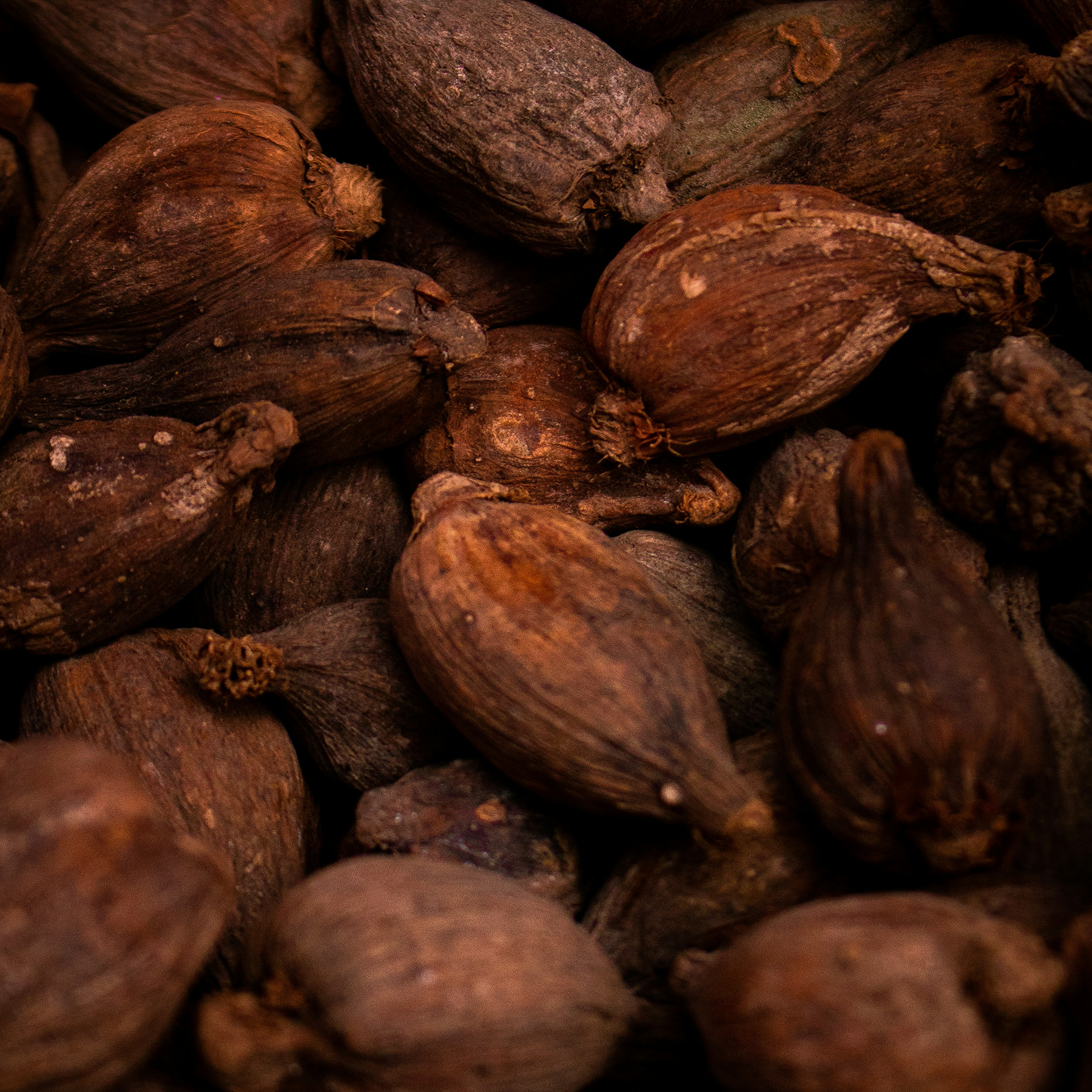 Un Cioccolato da Dio Fondente Extra 75%