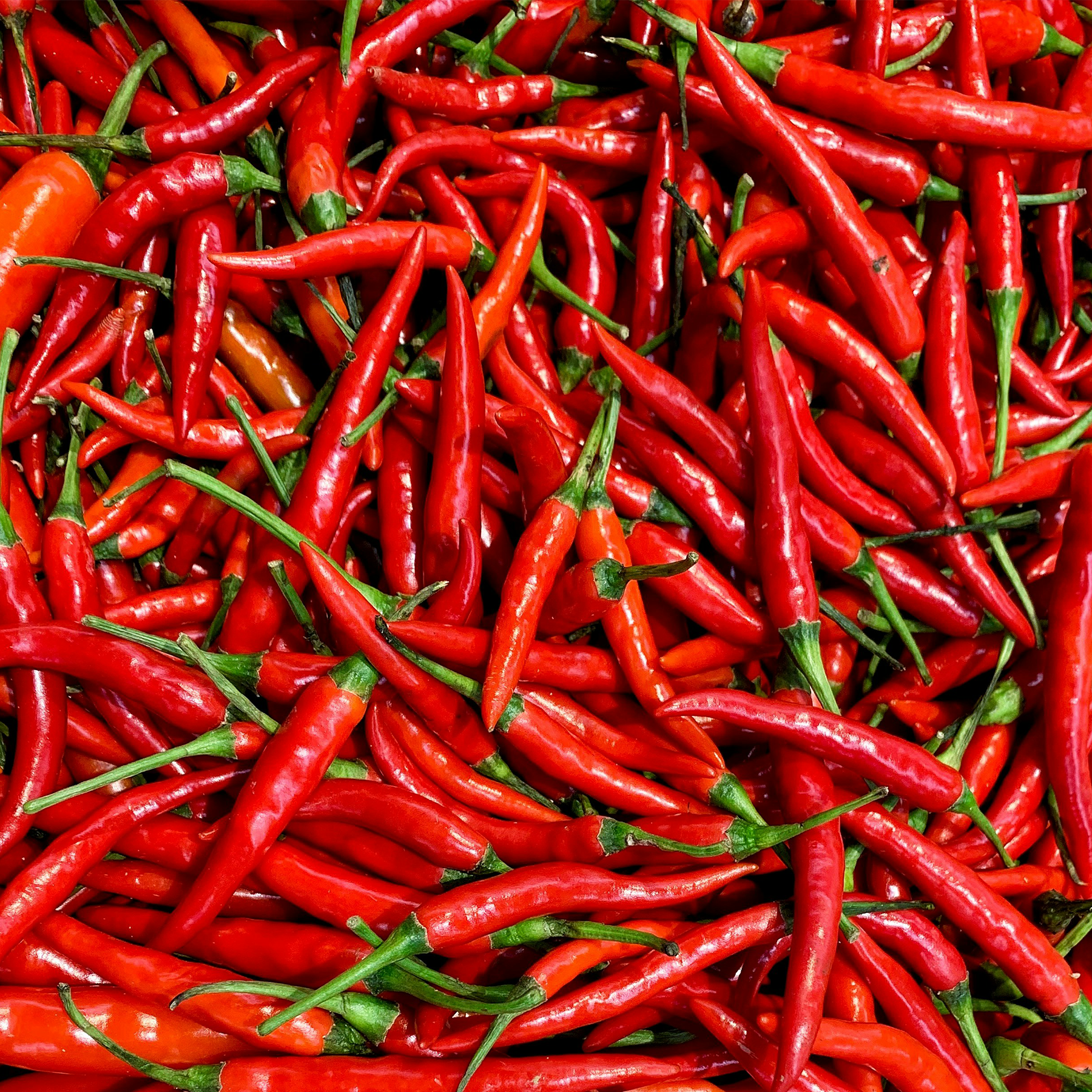 Un Cioccolato da Dio al Peperoncino