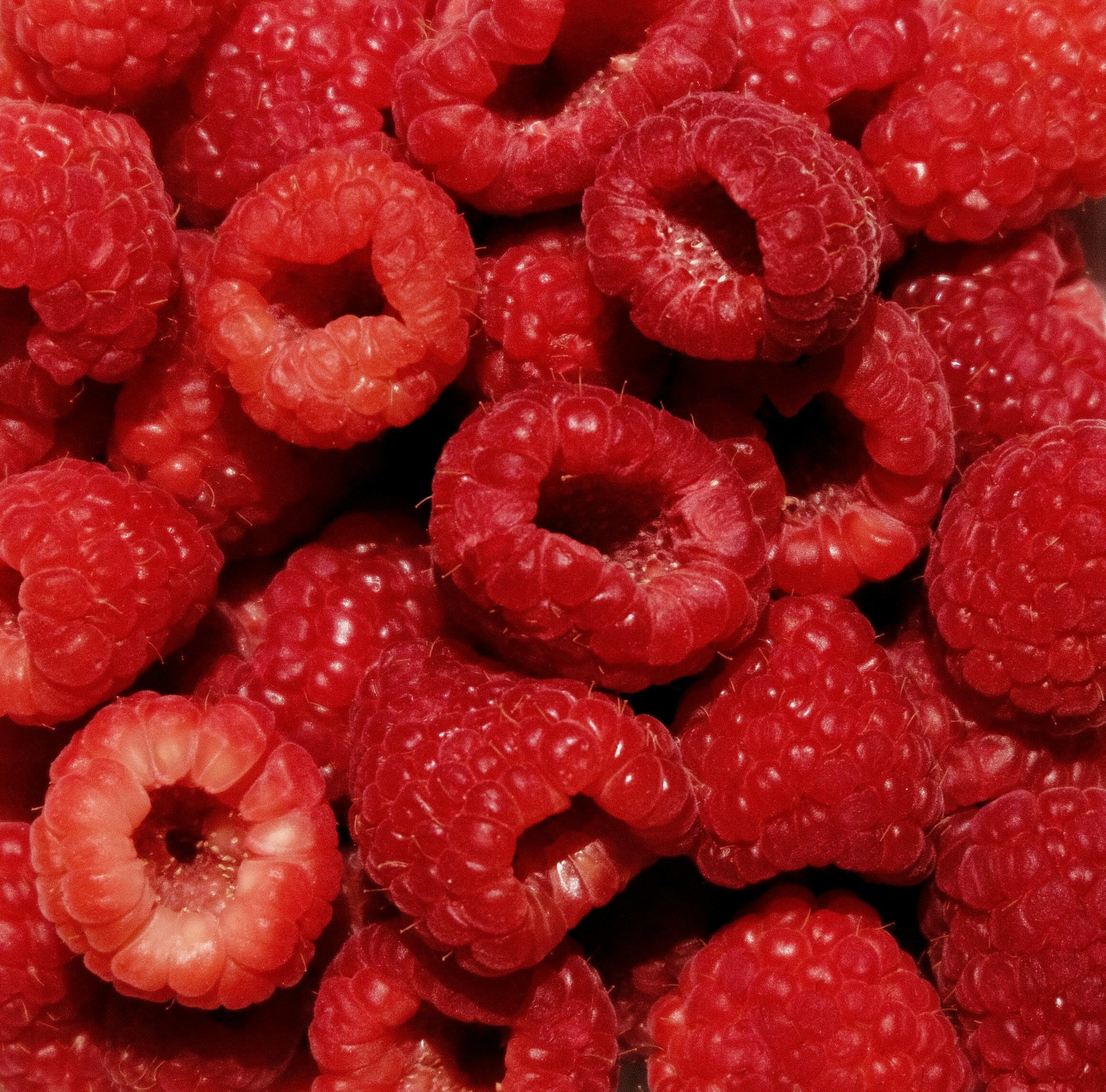 Un Uovo da Dio Cioccolato Ruby e Frutti di Bosco